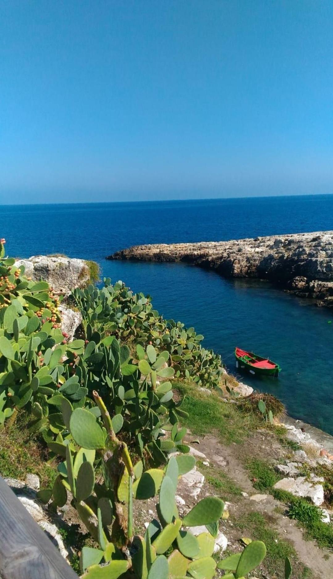 Sea Wind Stanza Con Garage E Ascensore Polignano a Mare Eksteriør bilde